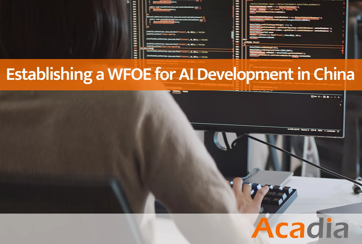 Establishing a WFOE for AI development in China